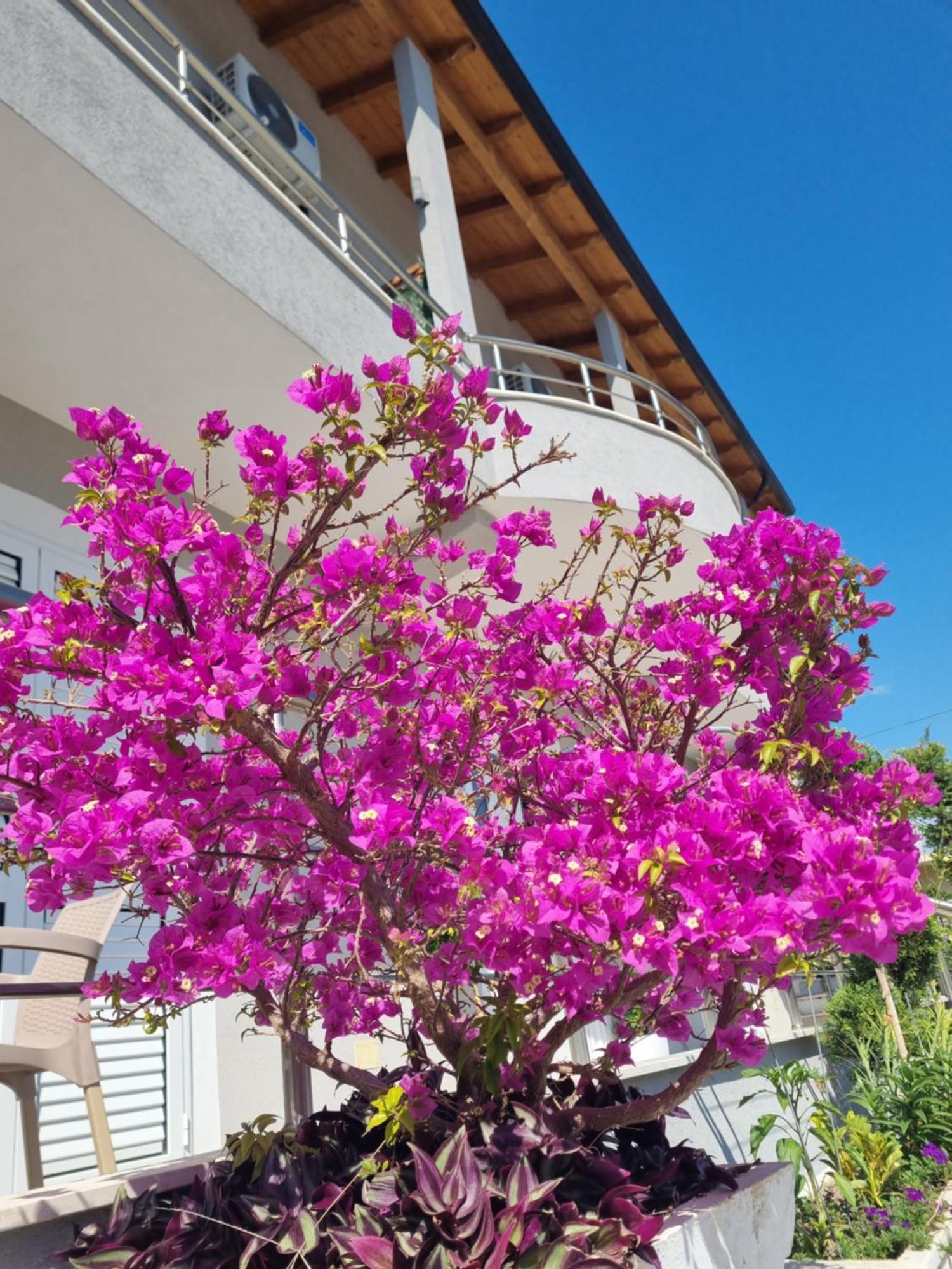 Vila Soleil Vlore Luaran gambar