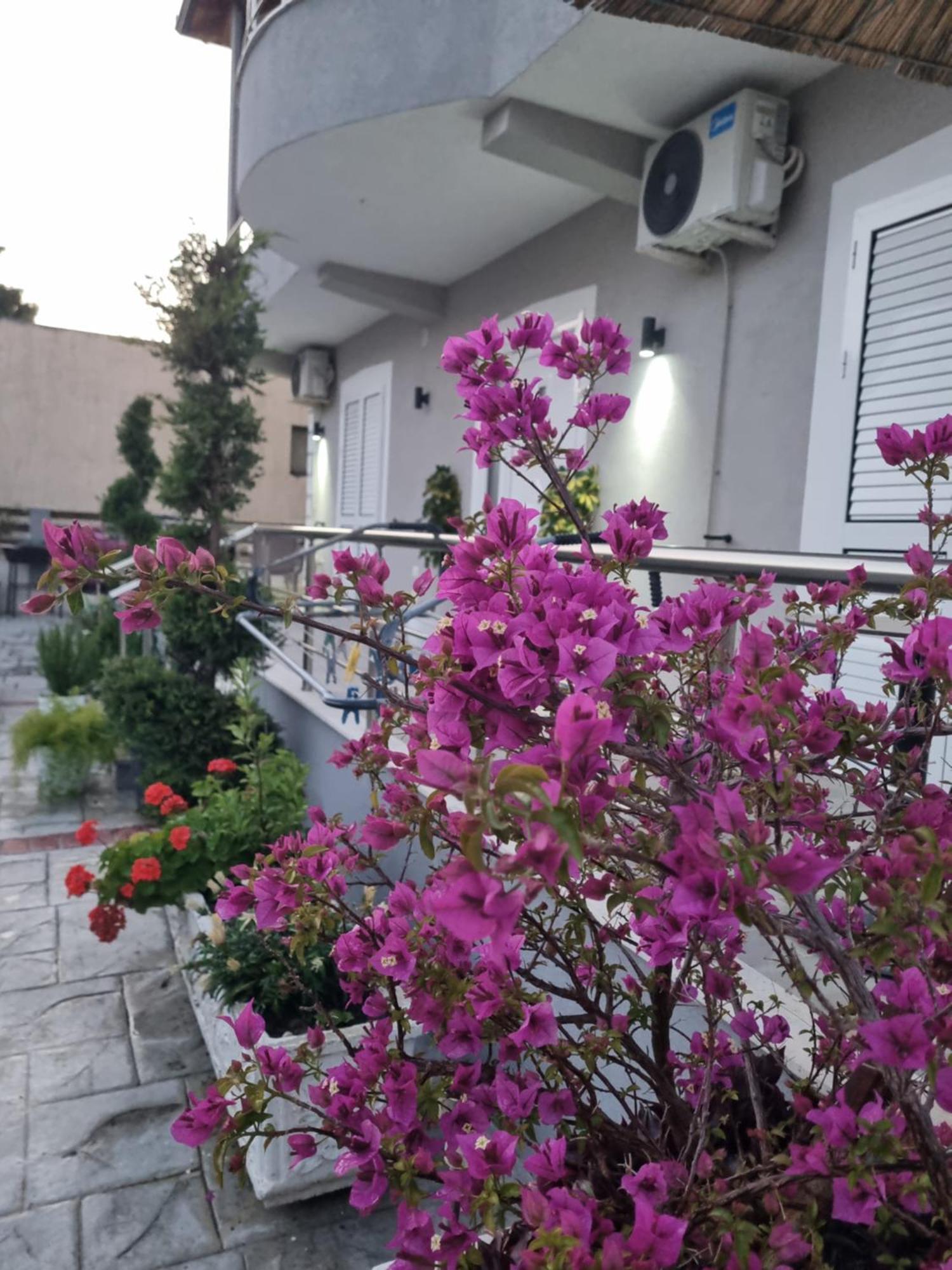 Vila Soleil Vlore Luaran gambar